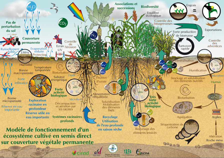 L'agriculture vers l'agroécologie - L' agro-écologie, l ...
